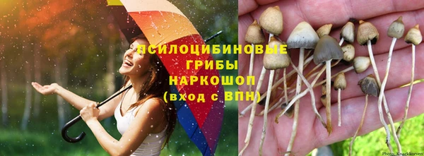 дистиллят марихуана Белокуриха
